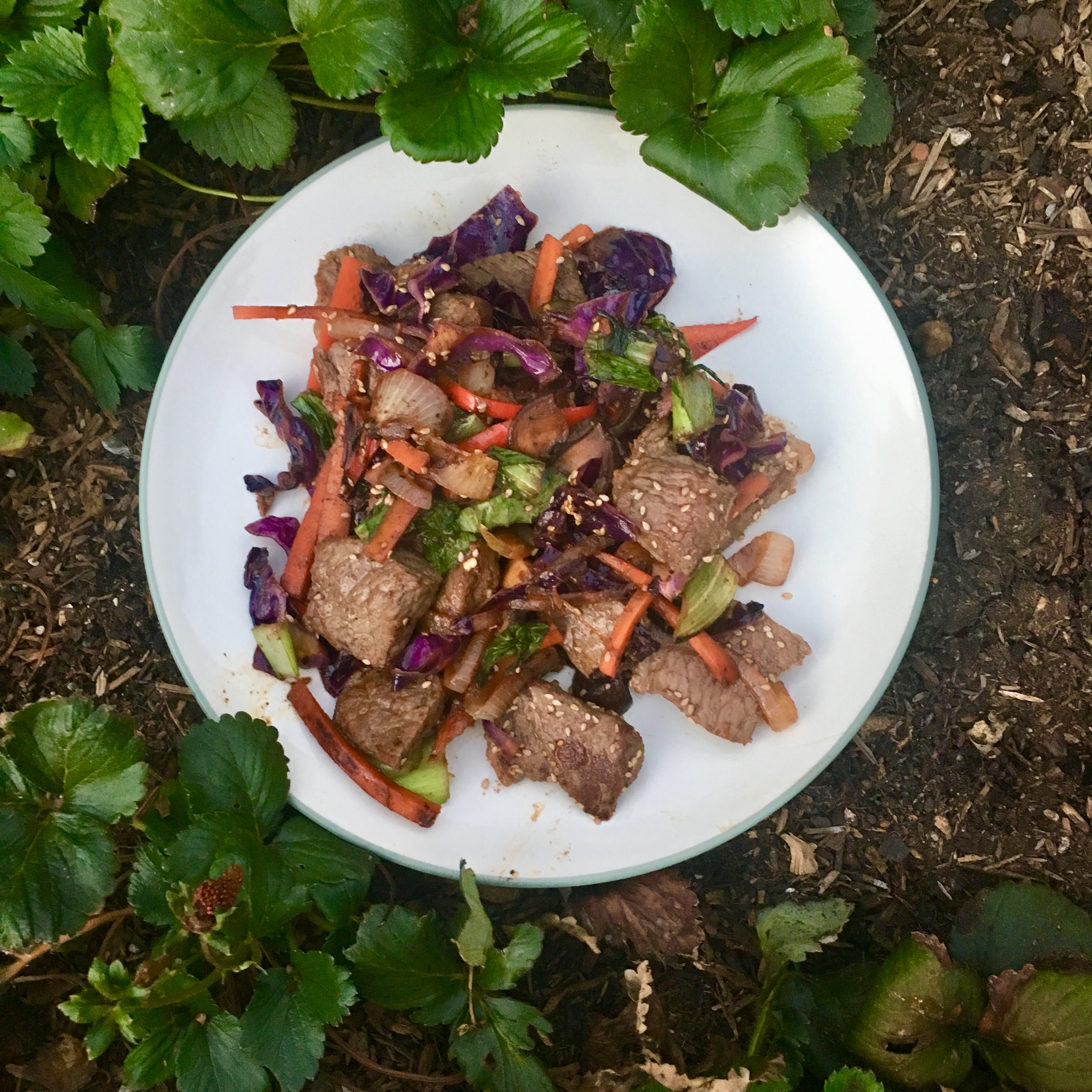 Asian Beef Stir Fry - Heart to Kitchen