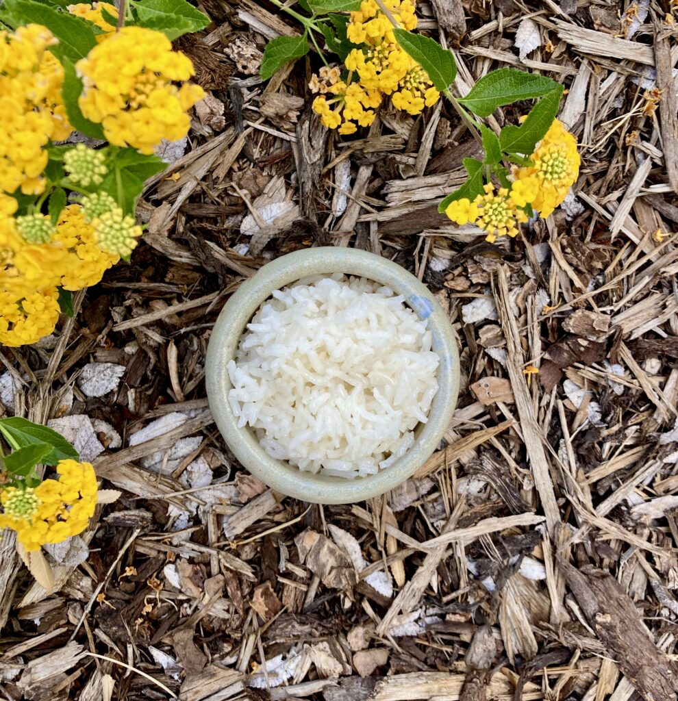 How To Cook White Rice To Reduce Anti-nutrients - Heart to Kitchen
